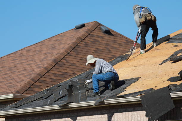 Best Chimney Flashing Repair  in Romney, WV