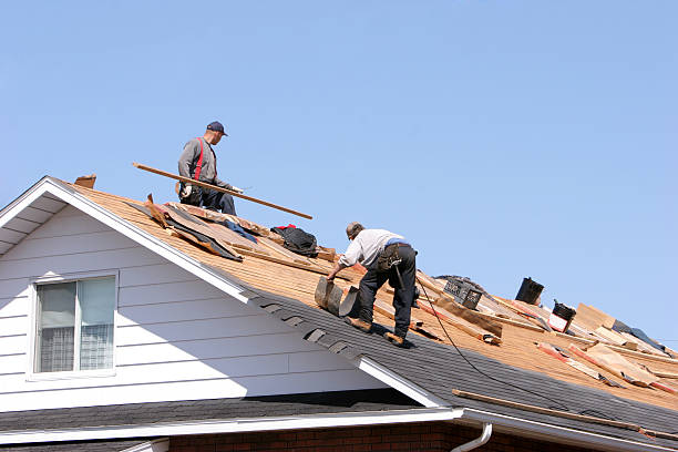 Best Skylight Installation and Repair  in Romney, WV